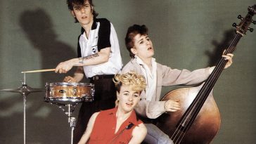 Stray Cats Azylo Hotel